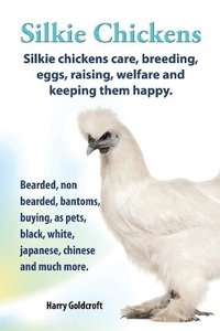 bokomslag Silkie Chickens Care, Breeding, Eggs, Raising, Welfare and Keeping Them Happy