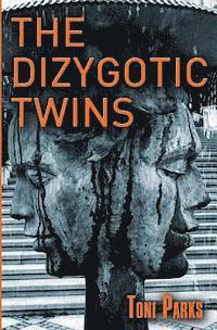 bokomslag The Dizygotic Twins