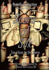 bokomslag Scars Of Silk