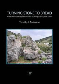 bokomslag Turning Stone to Bread