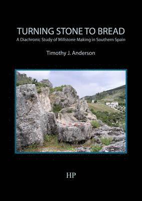bokomslag Turning Stone to Bread