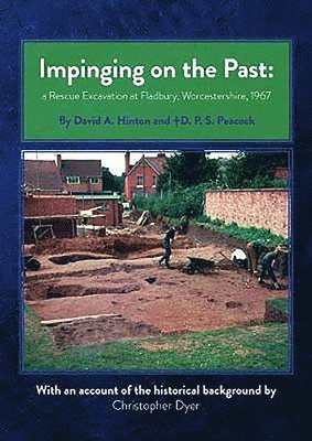 David Hinton, D P S Peacock - Impinging on the Past, Häftad