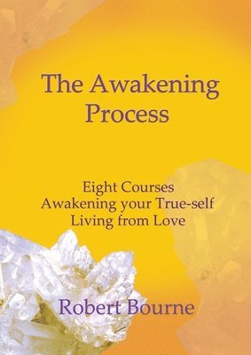 bokomslag The Awakening Process