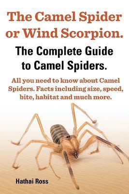 bokomslag The Camel Spider or Wind Scorpion, The Complete Guide to Camel Spiders.: With All You Need to Know About Camel Spiders