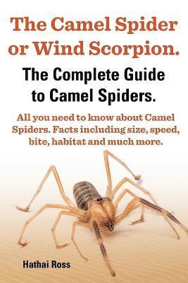 Ross Hathai, Hathai Ross - With All You Need to Know About Camel Spiders, Häftad