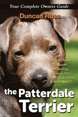 Patterdale Terrier 1