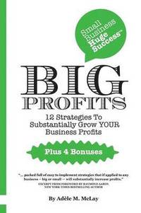 bokomslag Small Business Huge Success - Big Profits!