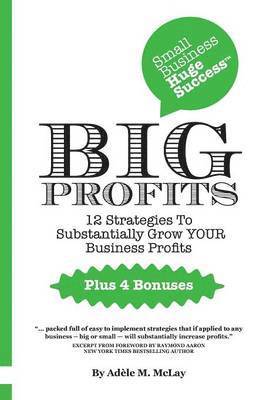 bokomslag Small Business Huge Success - Big Profits!