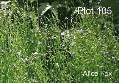Plot 105