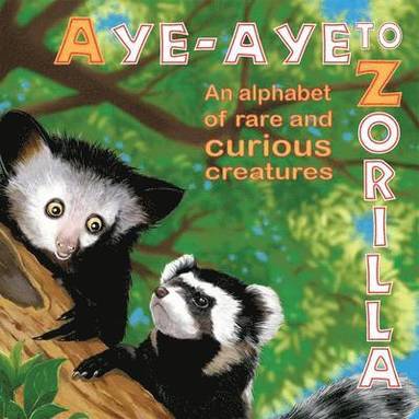 bokomslag Aye-Aye to Zorilla