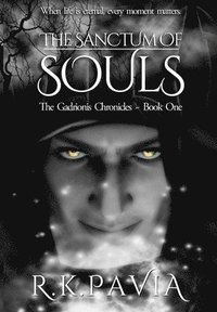 bokomslag Sanctum of Souls