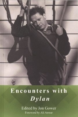 Jon Gower - Encounters with Dylan, Häftad