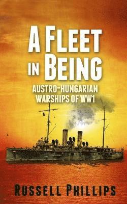 Fleet in Being