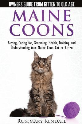bokomslag Maine Coon Cats: The Owners Guide from Kitten to Old Age
