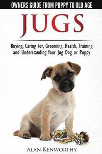 bokomslag Jug Dogs (Jugs) - Owners Guide from Puppy to Old Age. Buying, Caring For, Grooming, Health, Training and Understanding Your Jug
