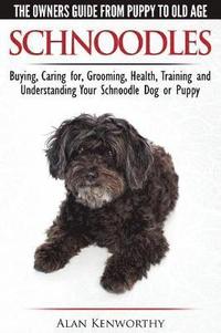bokomslag Schnoodles - The Owners Guide from Puppy to Old Age - Choosing, Caring for, Grooming, Health, Training and Understanding Your Schnoodle Dog