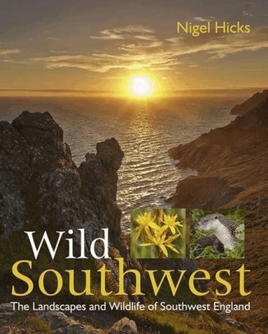 Nigel Hicks - Wild Southwest, Häftad