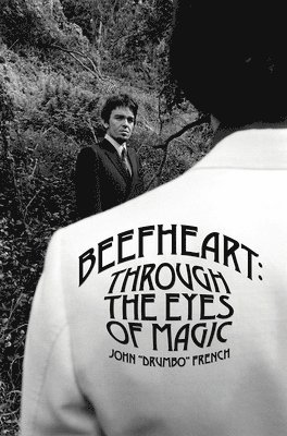 bokomslag Beefheart: Through The Eyes Of magic