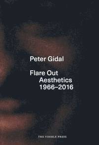 bokomslag Flare Out: Aesthetics 1966-2016