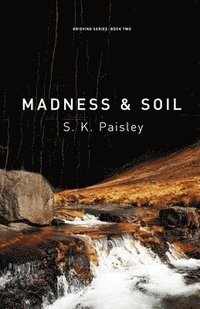 bokomslag Madness & Soil