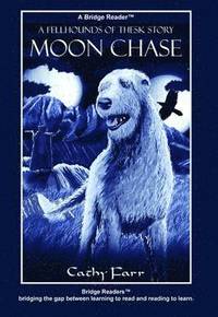bokomslag Moon Chase