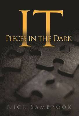 bokomslag It - Pieces in the Dark