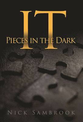 bokomslag IT - Pieces in the Dark: 1