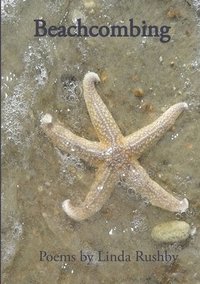 bokomslag Beachcombing