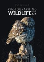 bokomslag Photographing Wildlife in the UK