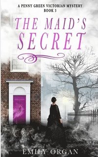 bokomslag The Maid's Secret