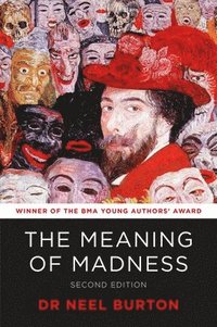 bokomslag The Meaning of Madness, second edition