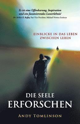 bokomslag seele erforschen - Erkenntnisse aus studien vom leben zwischen leben