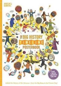 bokomslag The Big History Timeline Posterbook