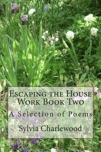 bokomslag Escaping the House Work Book Two: A Selection of Poems