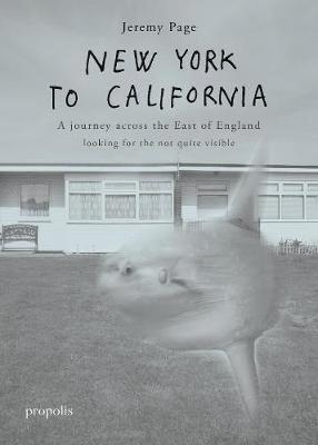 Jeremy Page - New York To California, Häftad