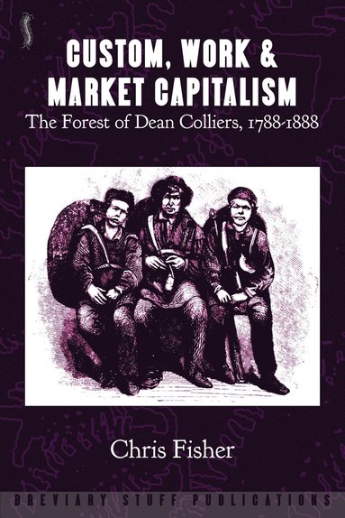 Chris Fisher - Custom, Work and Market Capitalism, Häftad