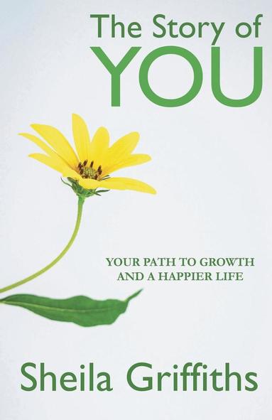 bokomslag Story of You