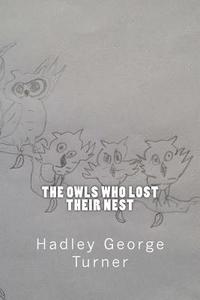 bokomslag Owls Who Lost Their Nest