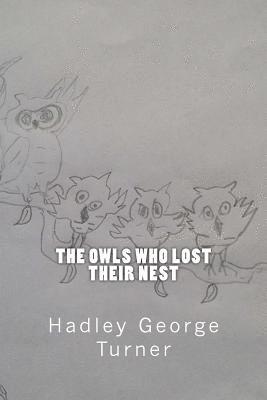 Owls Who Lost Their Nest