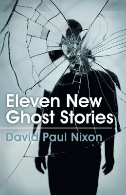 bokomslag Eleven New Ghost Stories