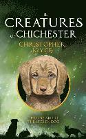 The Creatures of Chichester 1