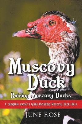 bokomslag Muscovy Duck