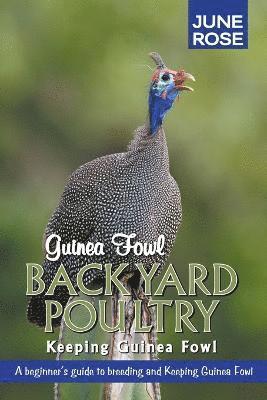 June Rose - Guinea Fowl, Backyard Poultry, Häftad
