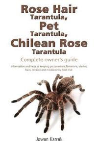bokomslag Rose Hair Tarantula, Pet Tarantula, Chilean Rose Tarantula