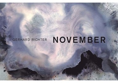 bokomslag Gerhard Richter: November