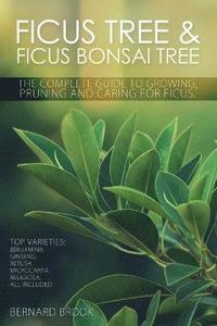 bokomslag Ficus Tree and Ficus Bonsai Tree - The Complete Guide to Growing, Pruning and Caring for Ficus