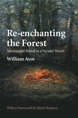 Re-enchanting the Forest 1