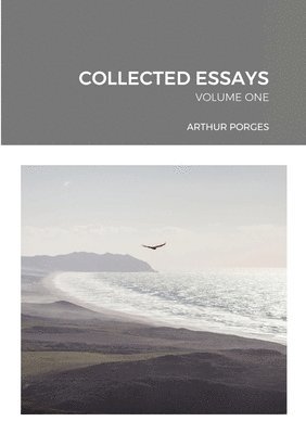 bokomslag Collected Essays