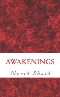 bokomslag Awakenings: Sufi Verse