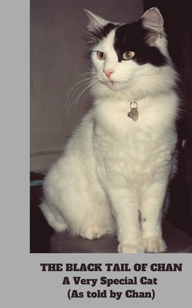 Chan - Black Tail of Chan: A Very Special Cat, Häftad